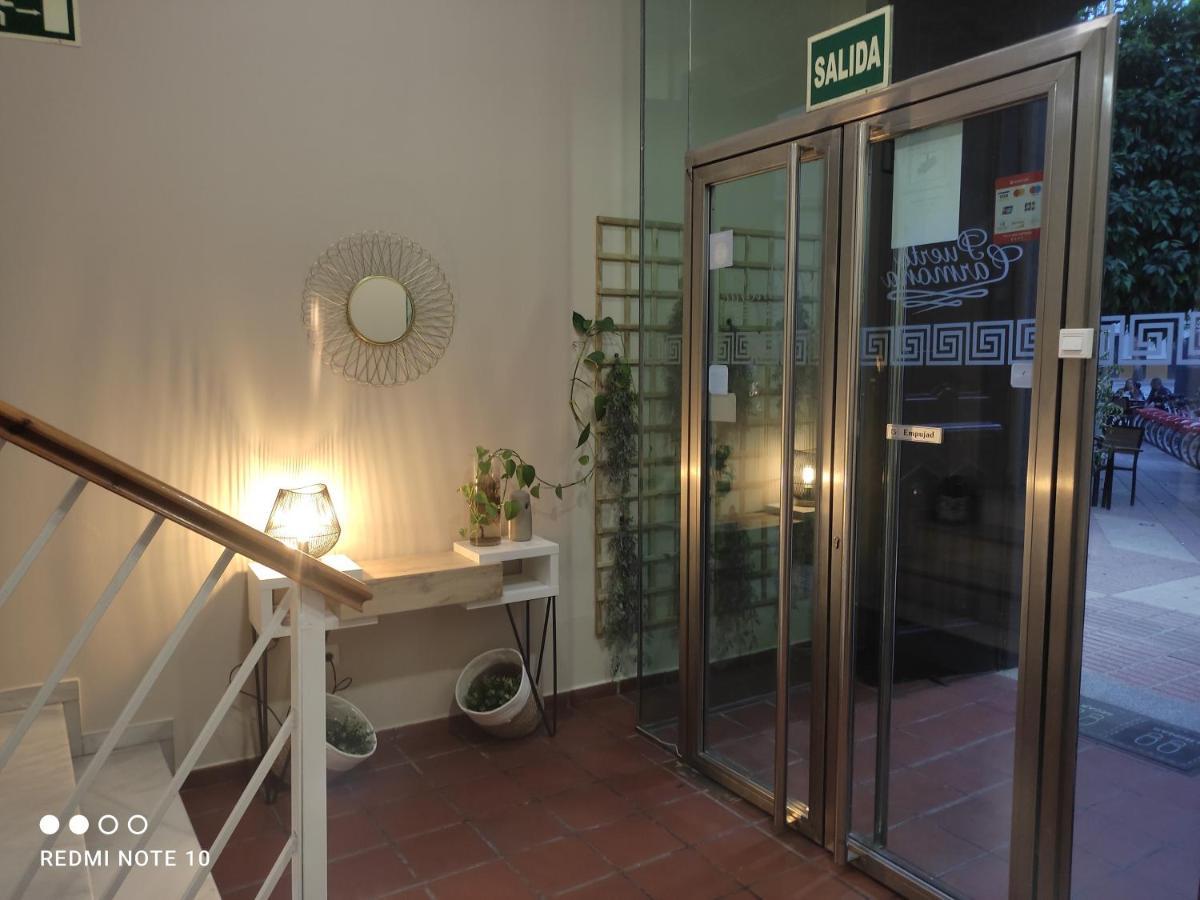 Hostal Puerta Carmona เซบีญา ภายนอก รูปภาพ