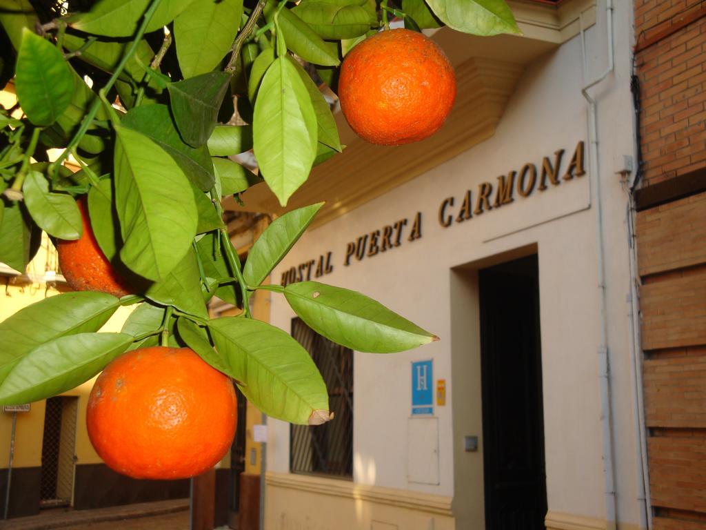 Hostal Puerta Carmona เซบีญา ภายนอก รูปภาพ